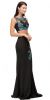 Main image of Floral Applique Mesh Top Two Piece Long Prom Dress